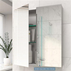 Ravini Mirror Cabinet