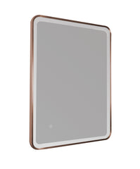 mirror with light and brushed bronze frame