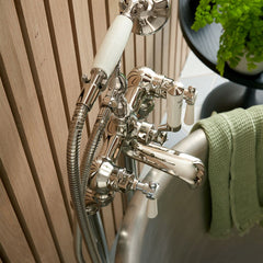 Chrome shower head and control handles with a green towel and plant in the background.