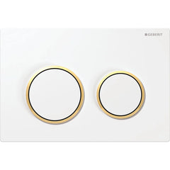 Geberit Omega20 dual flush plate