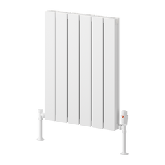 Reina Piatto Horizontal Double Radiator