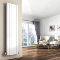 Reina Flat Vertical Double Radiator