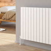Reina Piatto Horizontal Double Radiator
