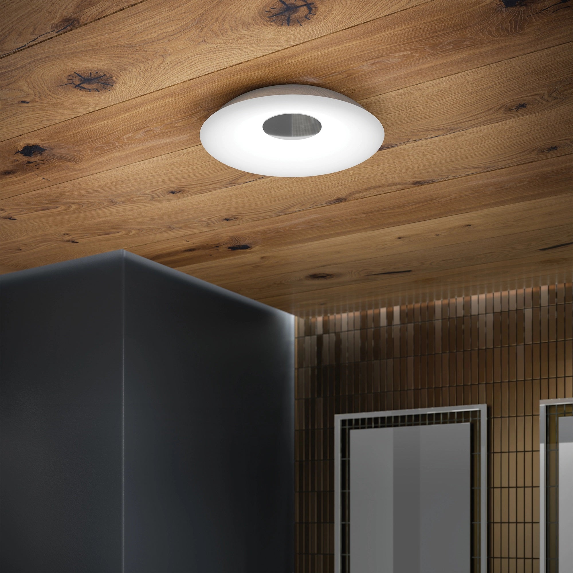 HiB Horizon Ceiling Light