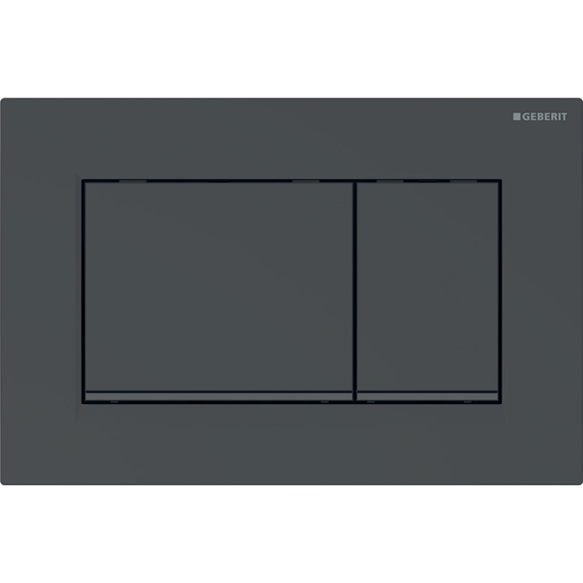 Geberit Sigma30 dual flush plate