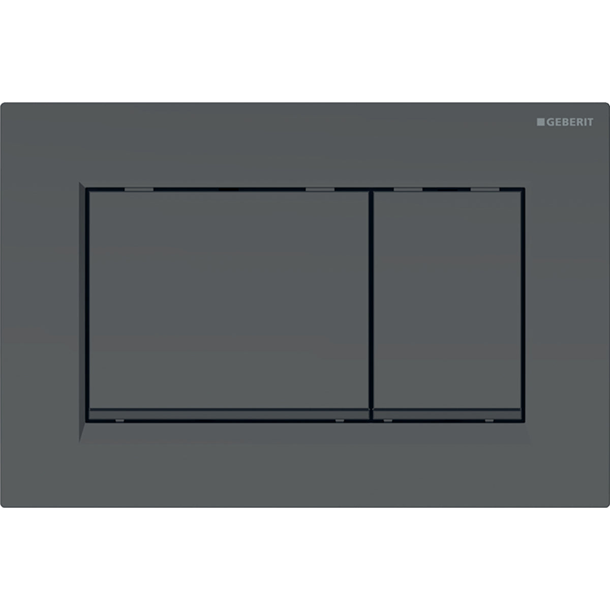 Geberit Sigma30 dual flush plate