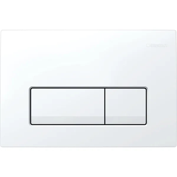 Geberit Delta 50 Dual Flush Plate