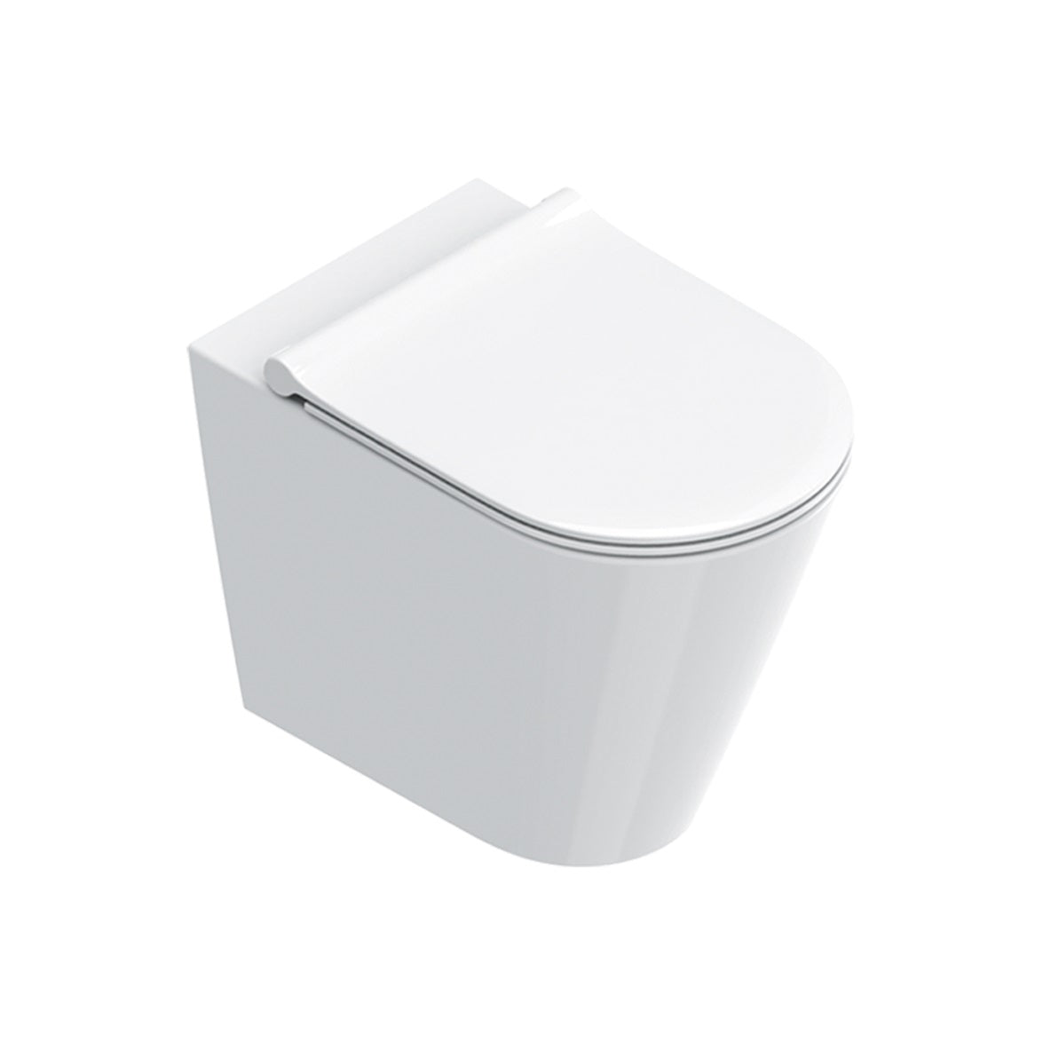 Catalano Zero 55  Back To Wall Toilet