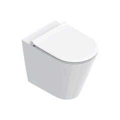 Catalano Zero 55  Back To Wall Toilet